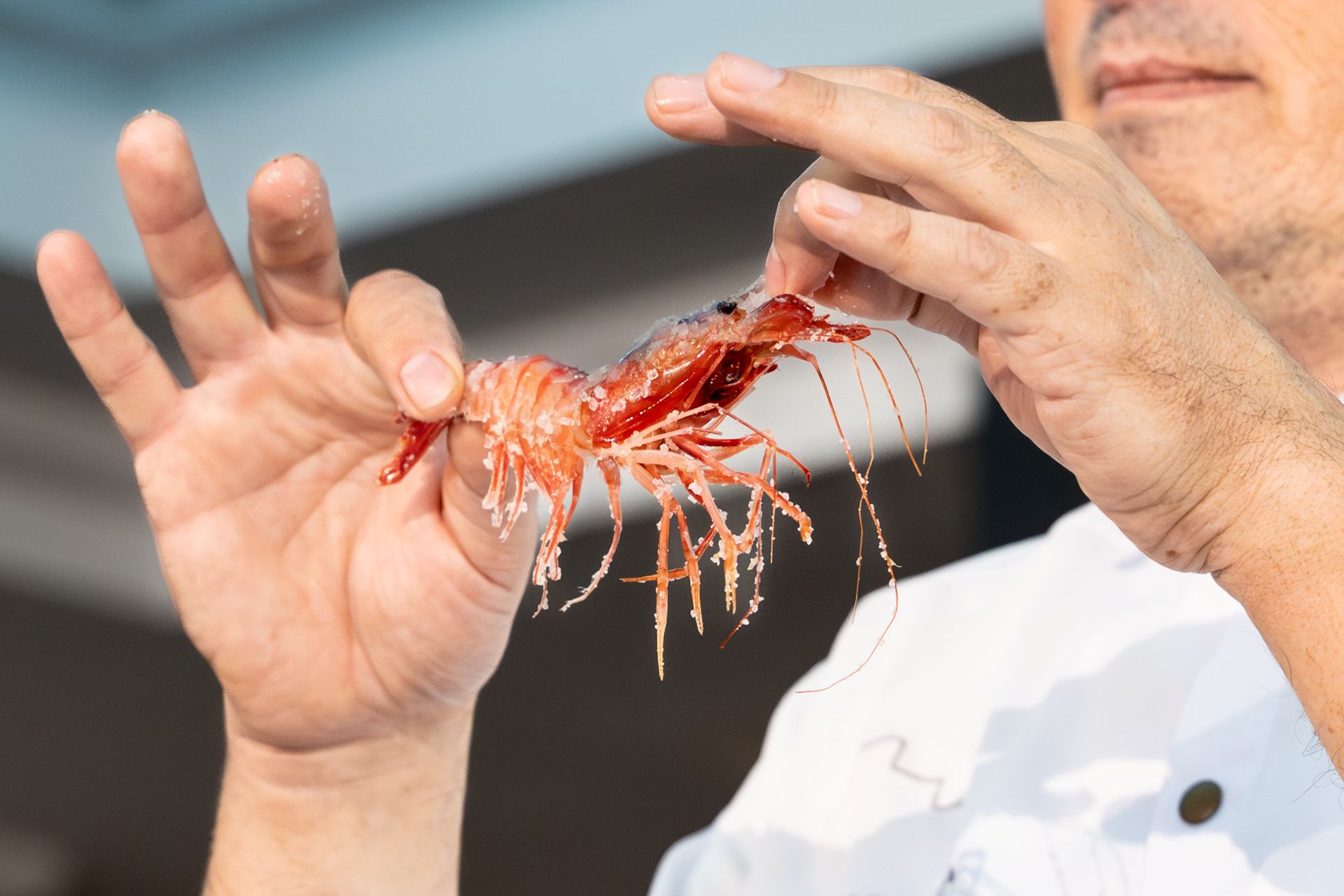 Cocincero con langostino Torrevieja
