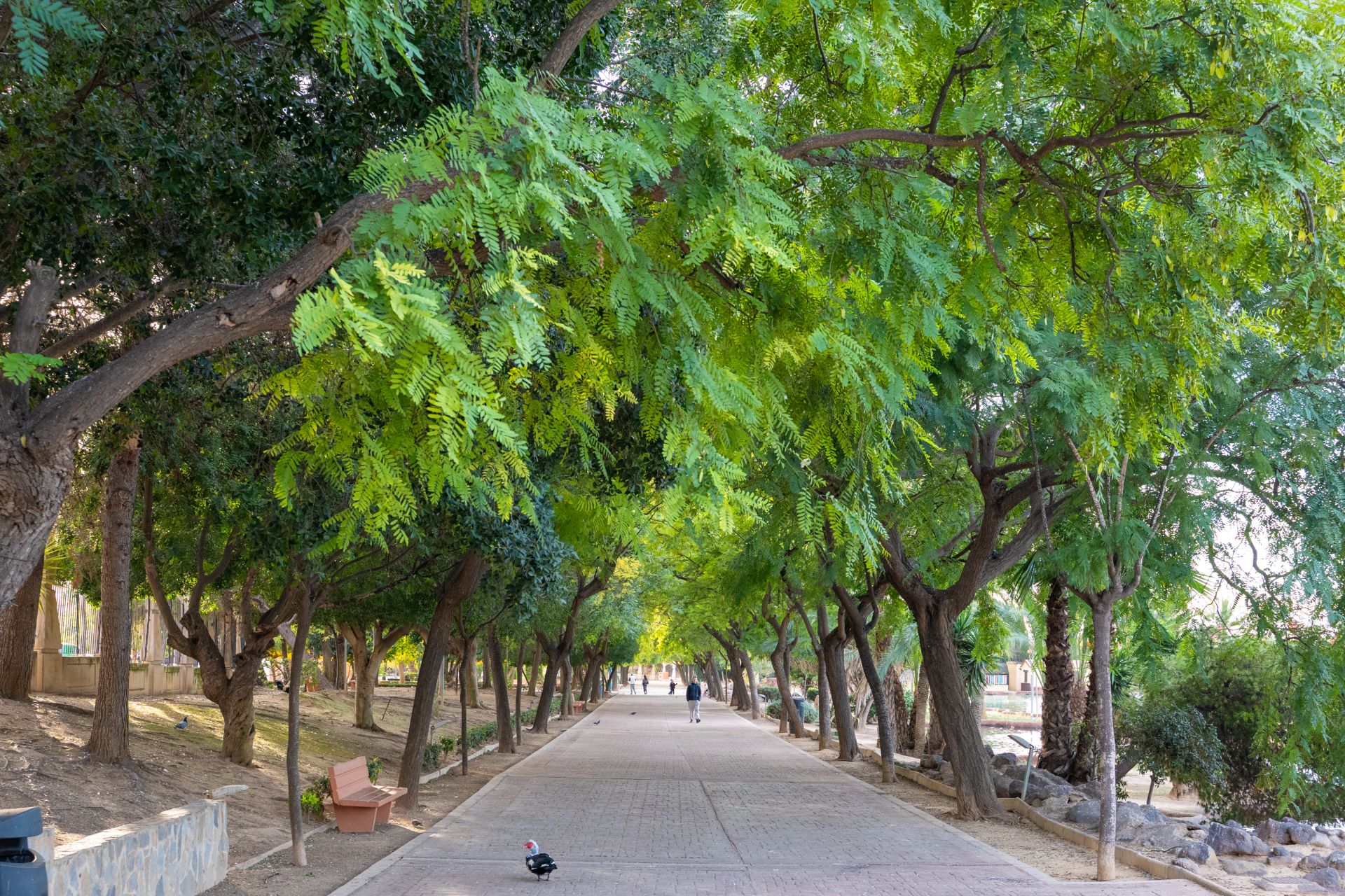 Parque de las Naciones 9