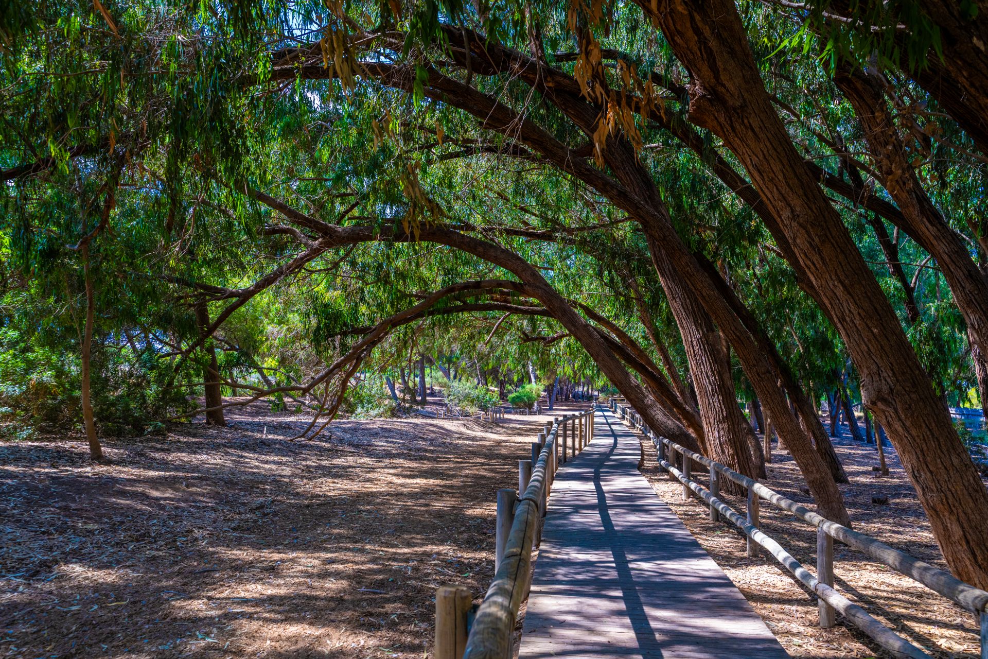 Parque Natural de las Lagunas de la Mata 4