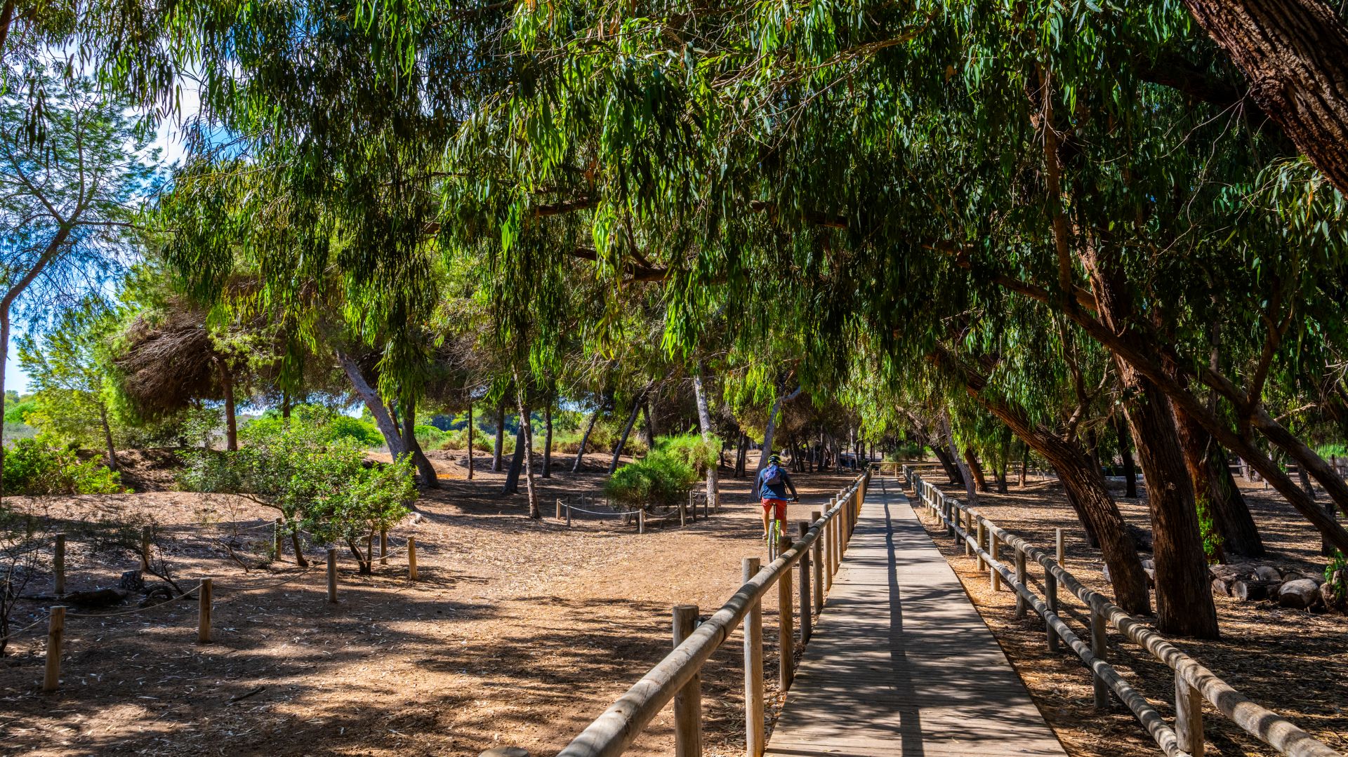 Parque Natural de las Lagunas de la Mata