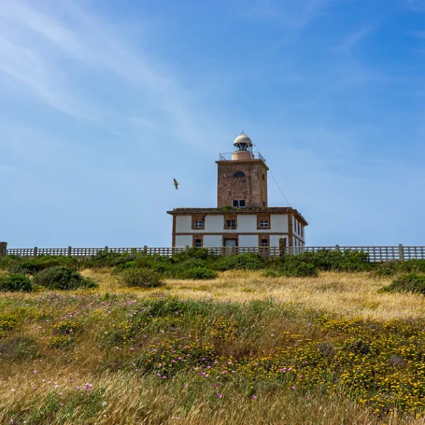Isla de Tabarca 630x630