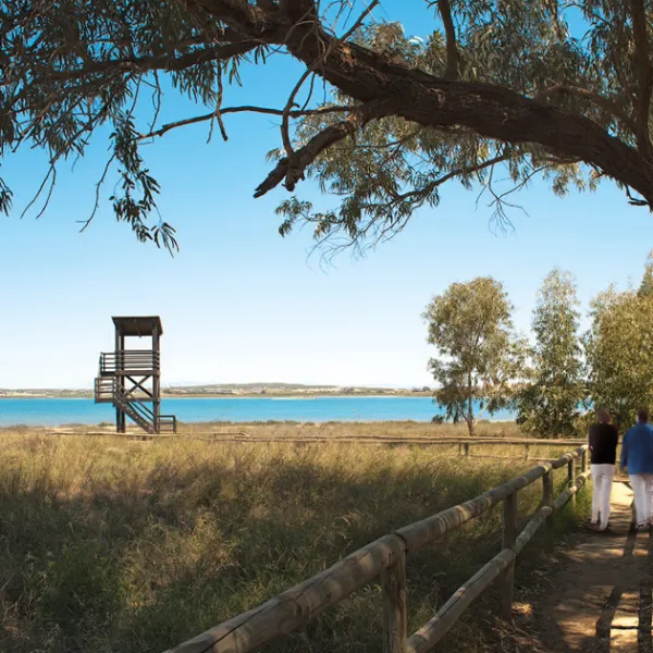 630x630 3, Deportes Torrevieja