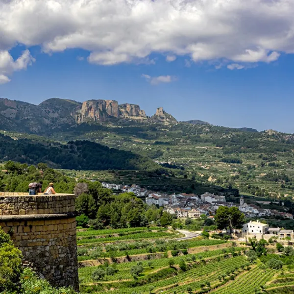 630x630 2 Área profesional