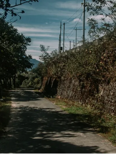 Un viñedo de arena y sal, imagen 1