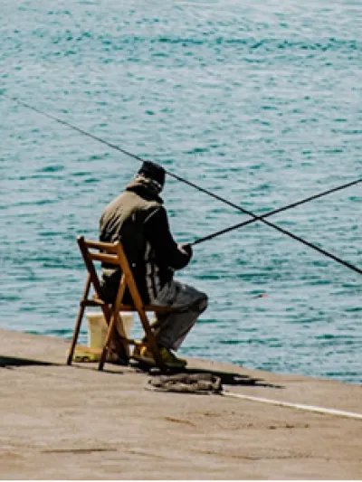 Card 4 con tu mascota Torrevieja