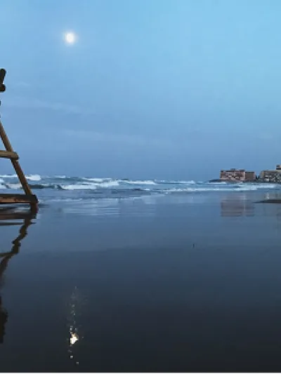 Card 5 Con tu mascota Torrevieja