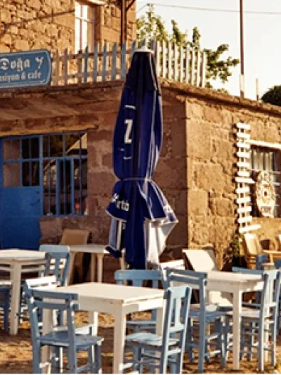 Card 6, con tu mascota Torrevieja