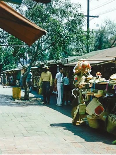 Card 7 fiestas y tradiciones