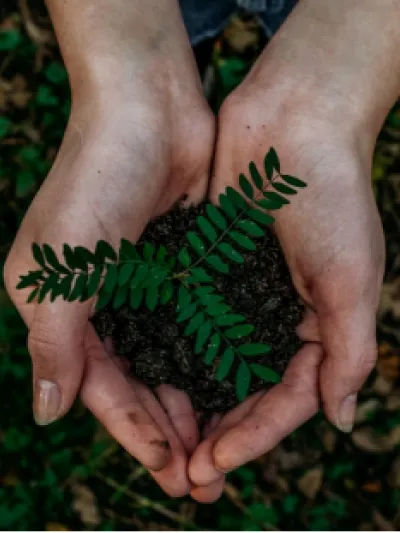 Card 1_Área profesional