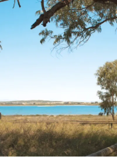 Card 4_Área profesional