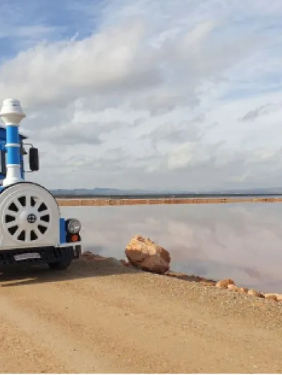 Card 5_Área profesional