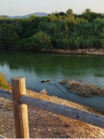 Card 6_Área profesional