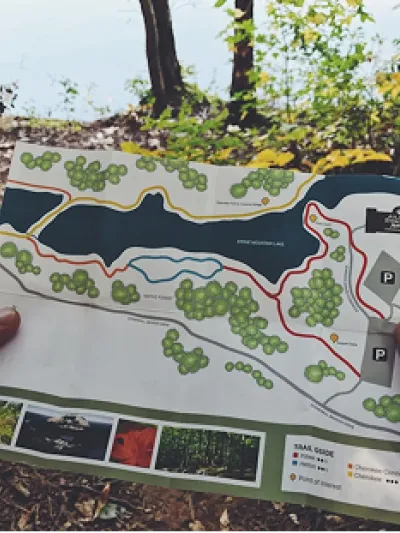 Card 7_Área profesional