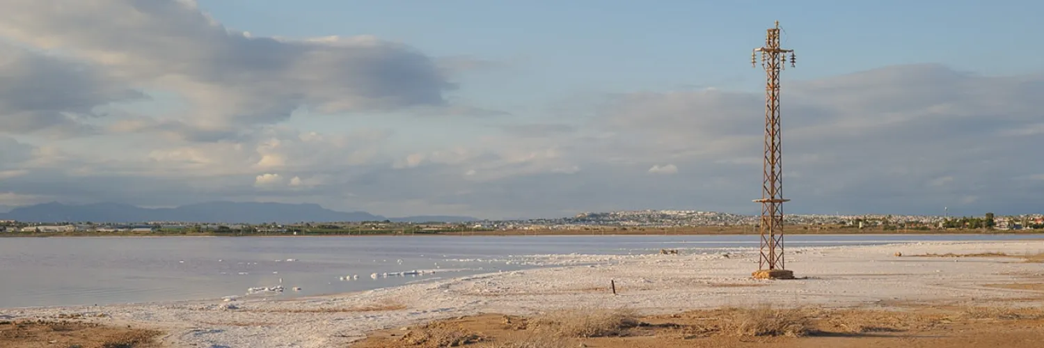 Las joyas aladas del Parque Natural, ruta ornitológica. imagen 