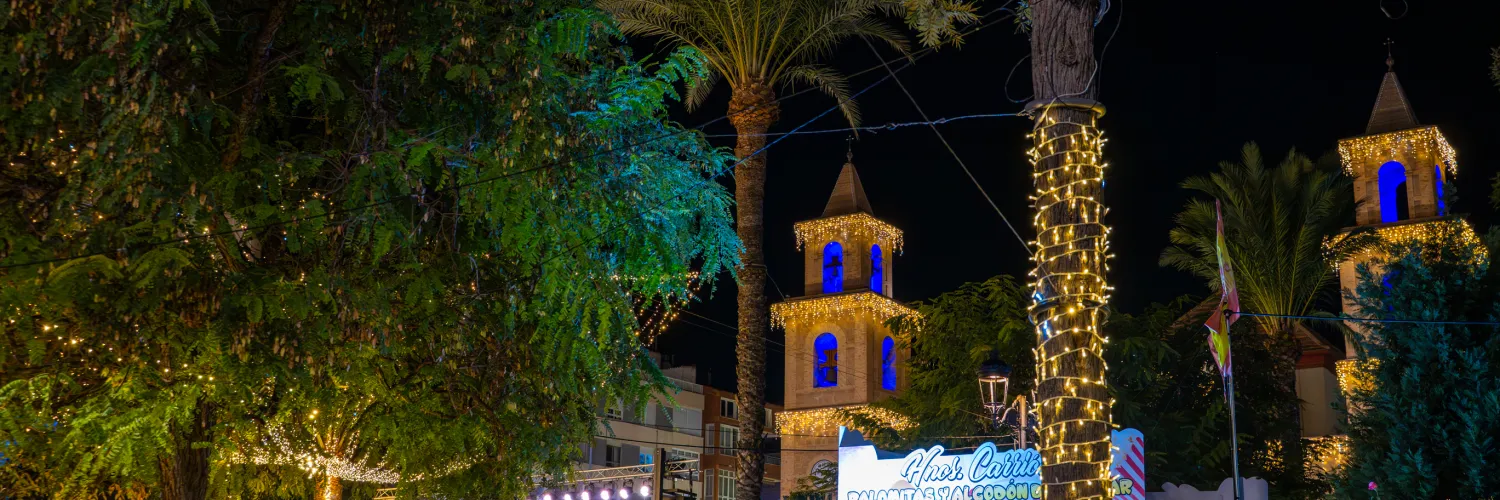 Torrevieja Ocio Nocturno