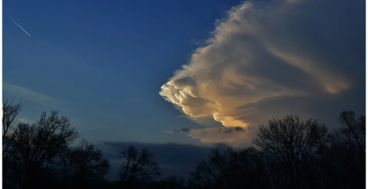 Card 1 información práctica, el tiempo